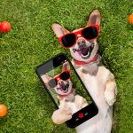 Your phone can save your vacation. There’s at least 3 reasons